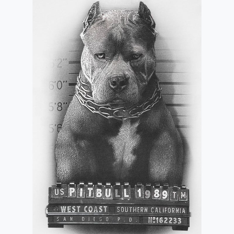 Koszulka męska Pitbull Mugshot 2 white 8