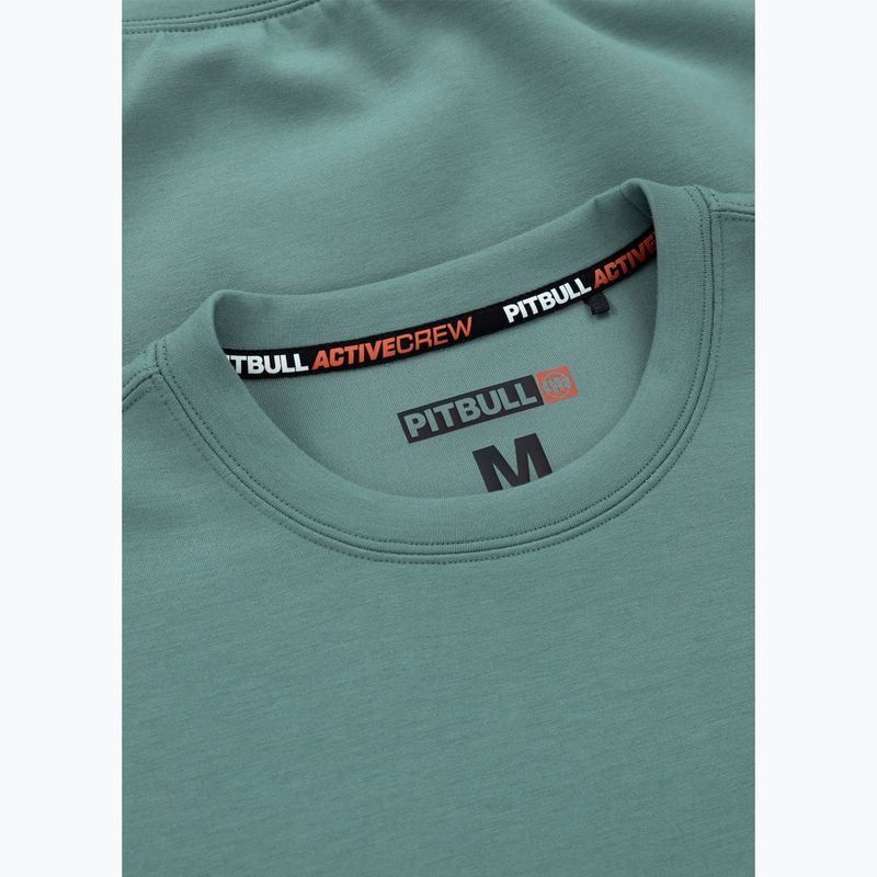 Bluza męska Pitbull Explorer Crewneck mint 6