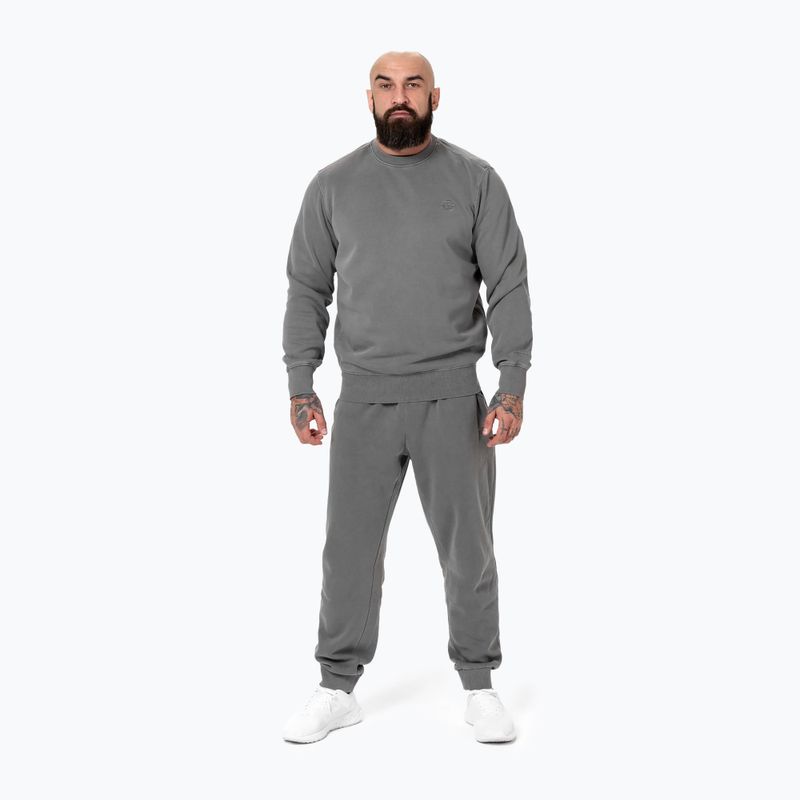 Bluza męska Pitbull Lancaster Crewneck grey 2