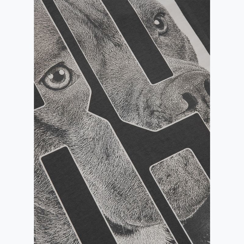 Koszulka męska Pitbull Eighty Nine Dog graphite 12
