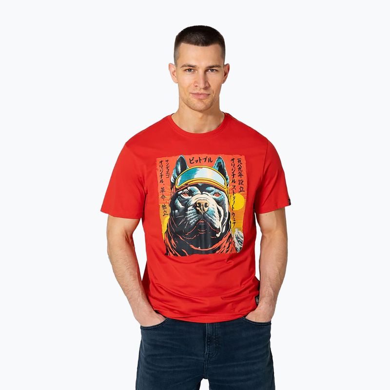 Koszulka męska Pitbull Fuji red