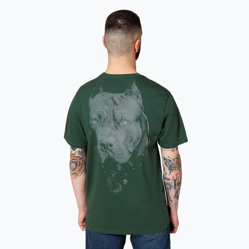 Koszulka męska Pitbull Born In 1989 grassy green 3