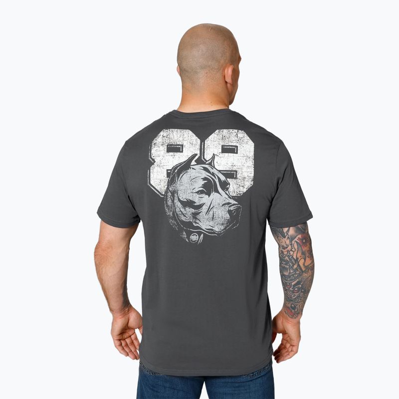 Koszulka Pitbull Dog 89 graphite 3