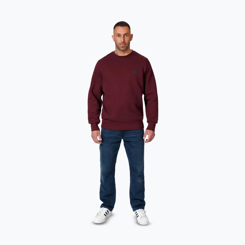 Bluza męska Pitbull Small Logo Crewneck burgundy 2