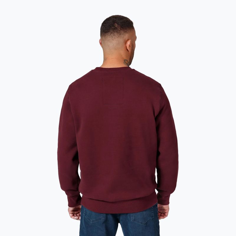Bluza męska Pitbull Small Logo Crewneck burgundy 3