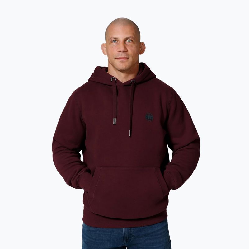 Bluza męska Pitbull Small Logo Hooded burgundy