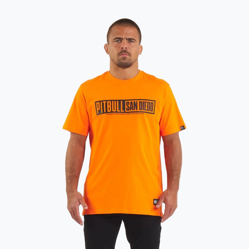 Koszulka męska Pitbull Eighty Nine Dog orange