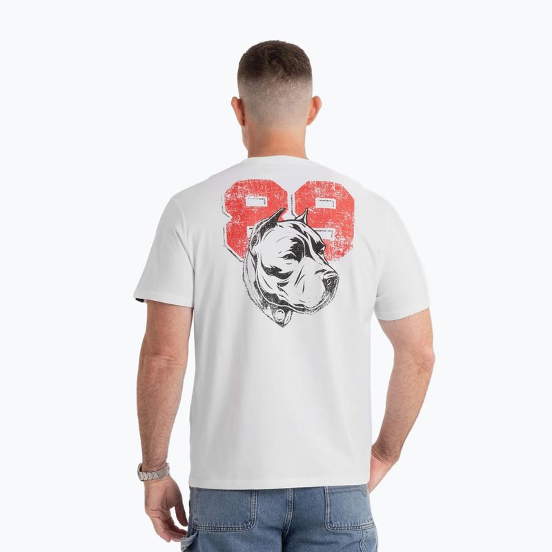 Koszulka Pitbull Dog 89 white 3