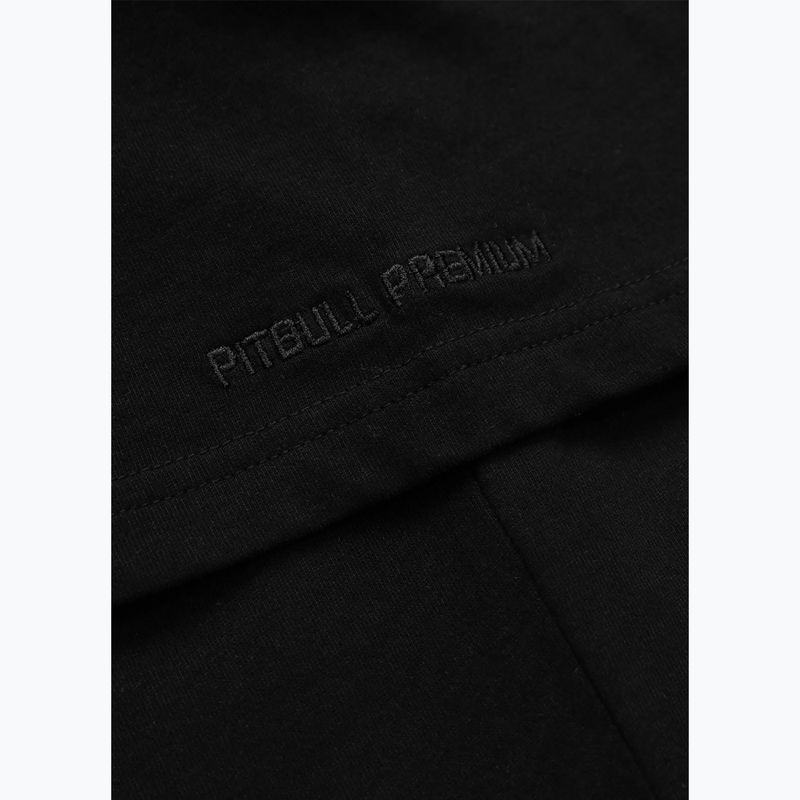 Koszulka męska Pitbull Scratch black 9