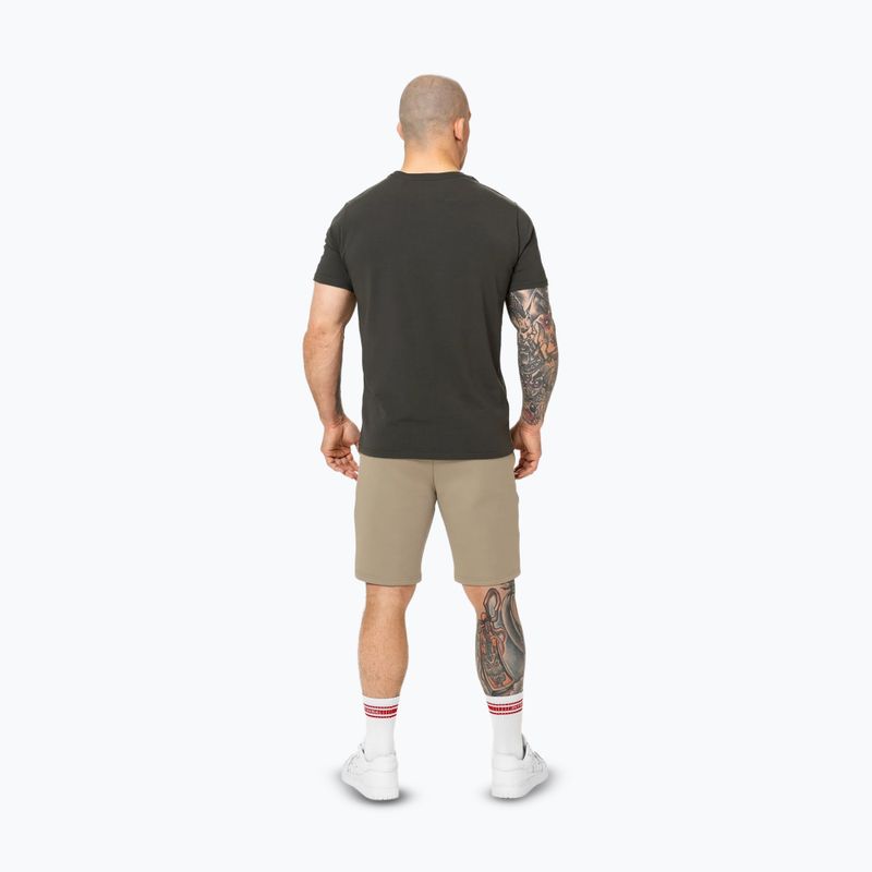 Spodenki męskie Pitbull Dogwood Sport dark sand 3
