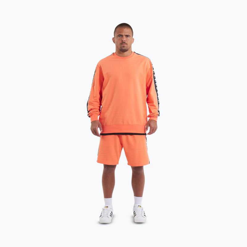 Bluza męska Pitbull Tape Nugget Crewneck Sweatshirt bright salmon 2