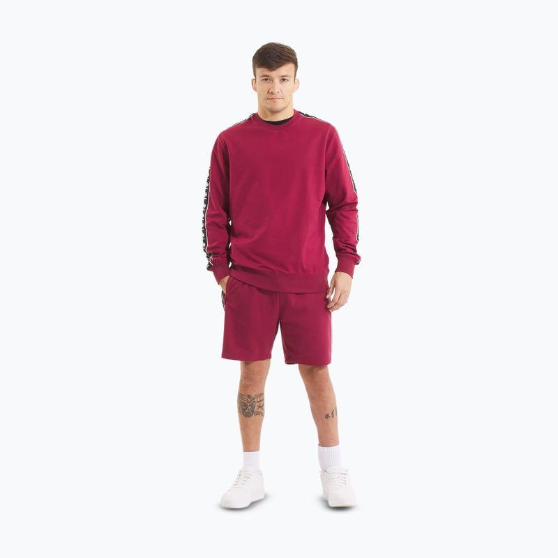 Bluza męska Pitbull Tape Nugget Crewneck Sweatshirt burgundy 2