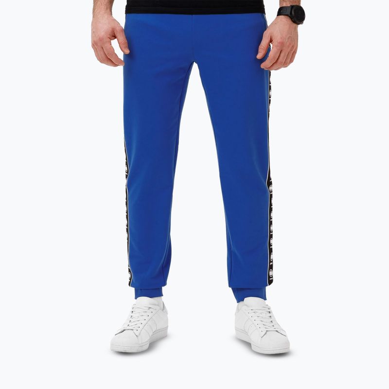 Spodnie męskie Pitbull Tape Nugget Jogging electric blue 3