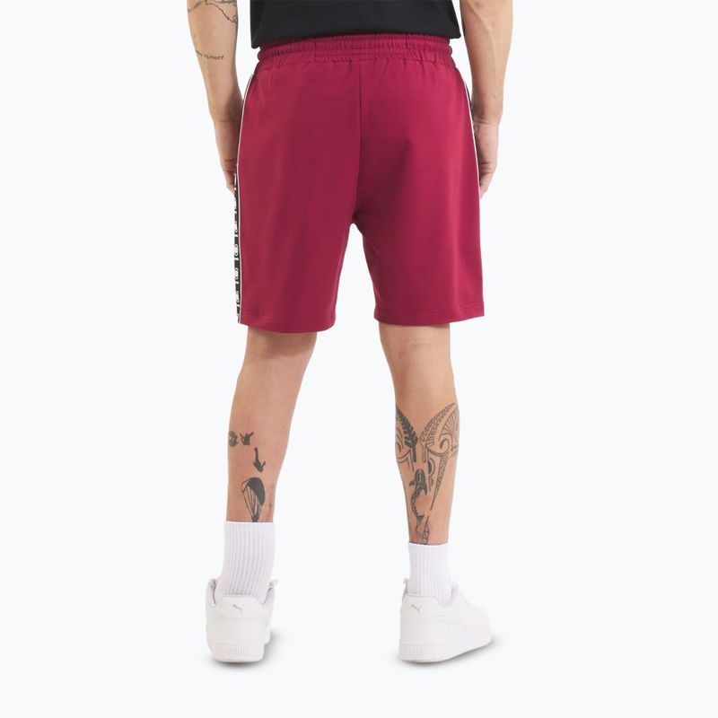 Spodenki męskie Pitbull Tape Nugget burgundy 3