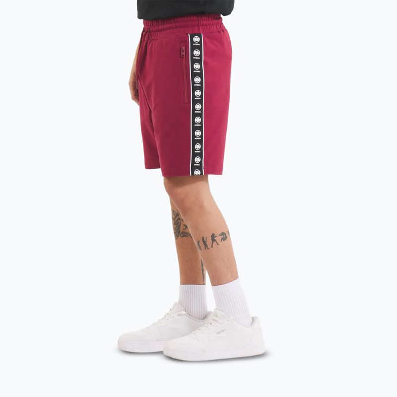 Spodenki męskie Pitbull Tape Nugget burgundy 4