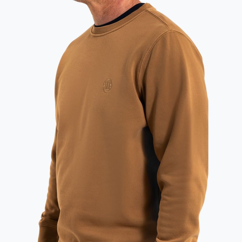 Bluza męska Pitbull Lancaster 2 Crewneck Sweatshirt honey yellow 4