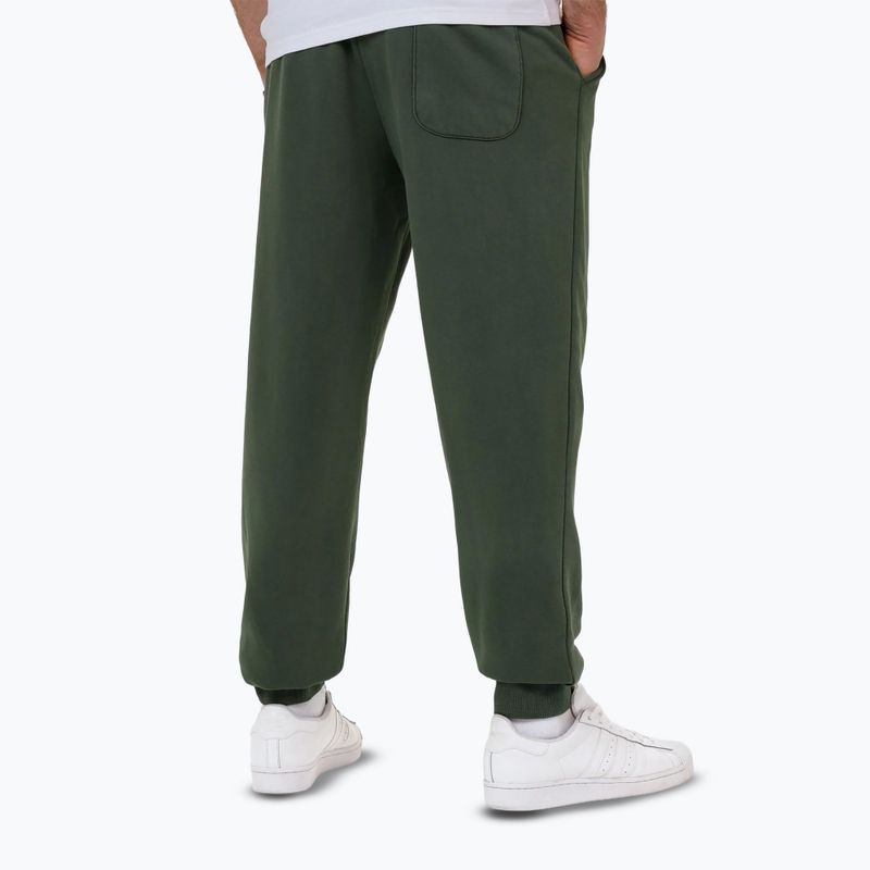 Spodnie męskie Pitbull Lancaster 2 Track Pants sage green 2