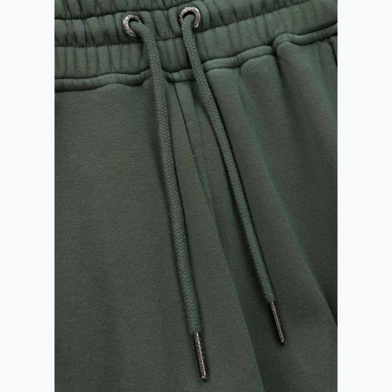 Spodnie męskie Pitbull Lancaster 2 Track Pants sage green 6