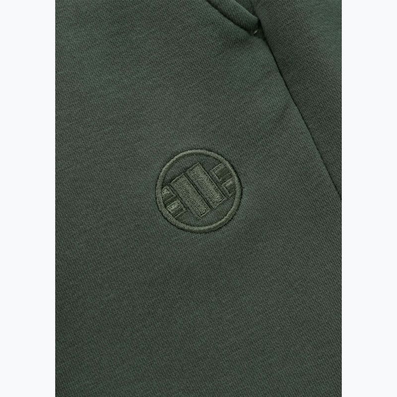 Spodnie męskie Pitbull Lancaster 2 Track Pants sage green 7
