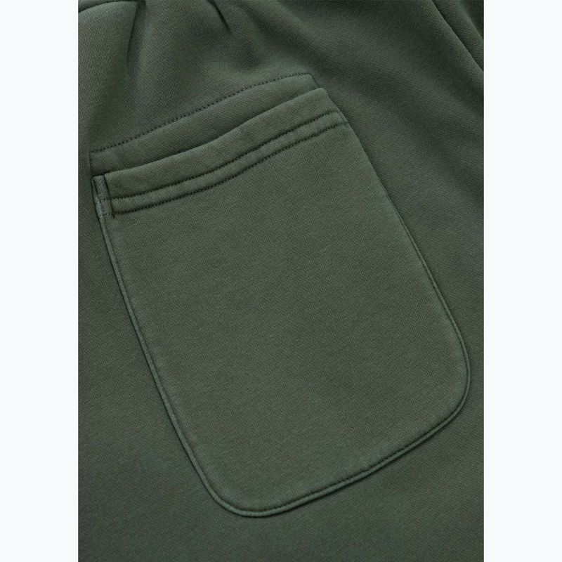 Spodnie męskie Pitbull Lancaster 2 Track Pants sage green 9