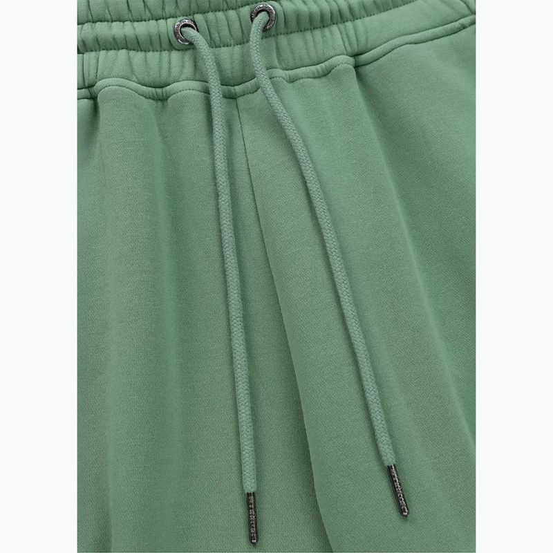 Spodnie męskie Pitbull Lancaster 2 Track Pants washed green 5