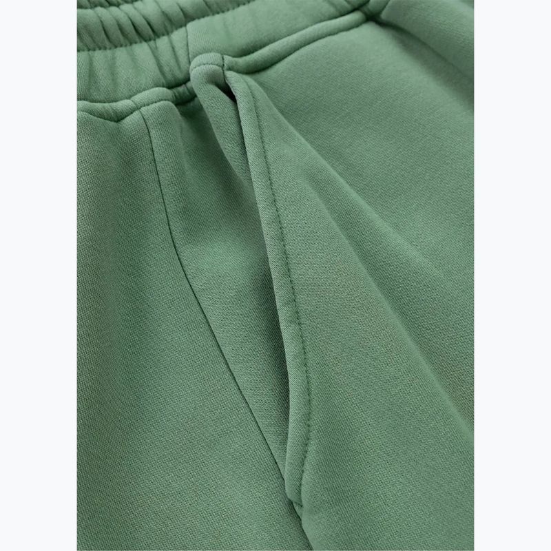 Spodnie męskie Pitbull Lancaster 2 Track Pants washed green 7