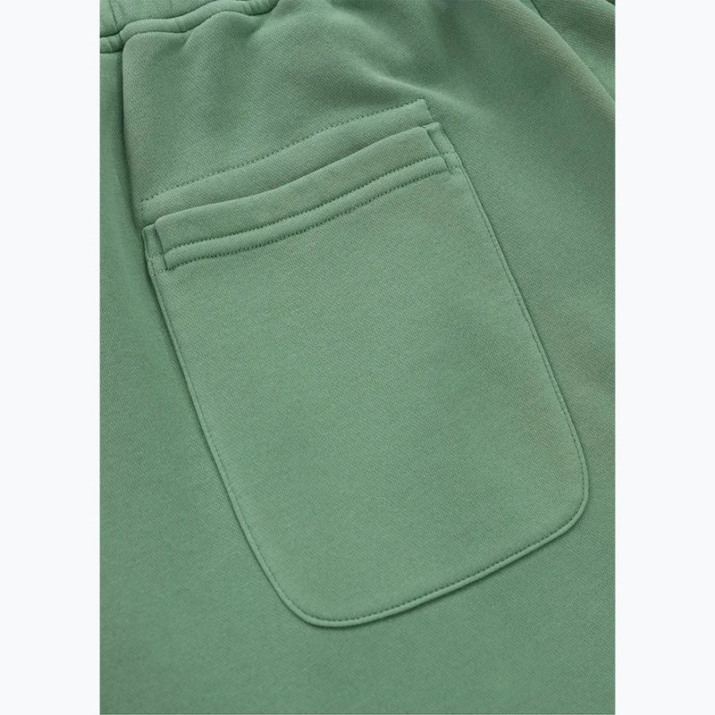 Spodnie męskie Pitbull Lancaster 2 Track Pants washed green 8