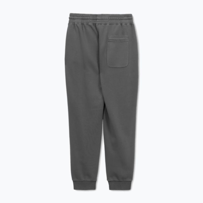 Spodnie męskie Pitbull Lancaster 2 Track Pants washed grey 5