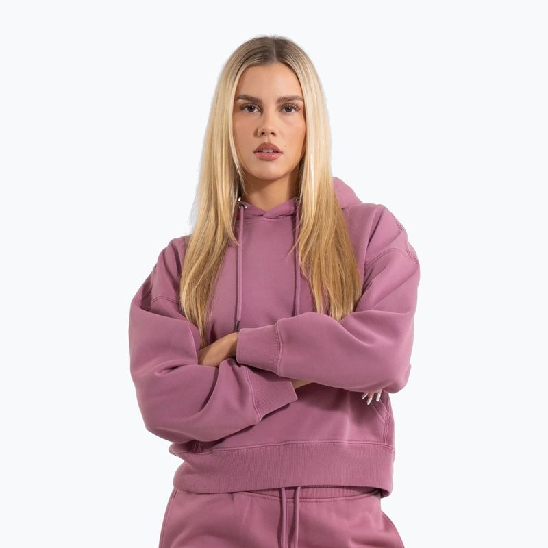 Bluza damska Pitbull Manzanita Hooded Sweatshirt pink
