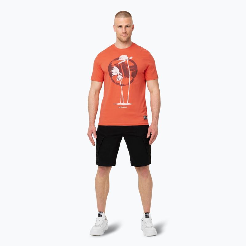 Koszulka męska Pitbull Palms bright salmon 2