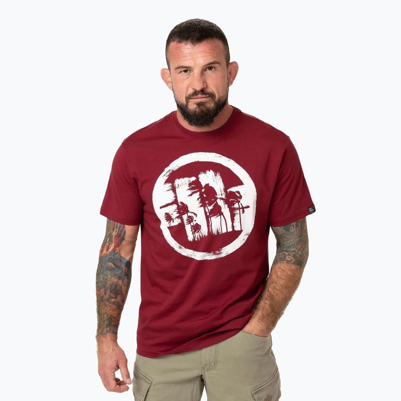 Koszulka męska Pitbull Logo Palms burgundy