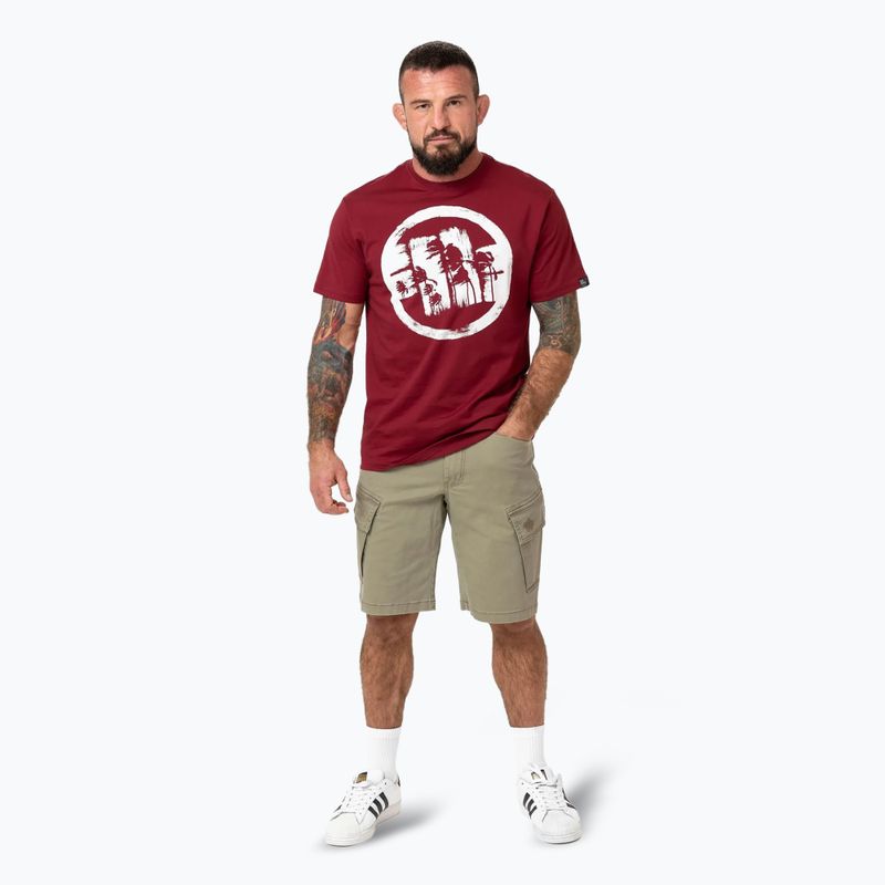 Koszulka męska Pitbull Logo Palms burgundy 2