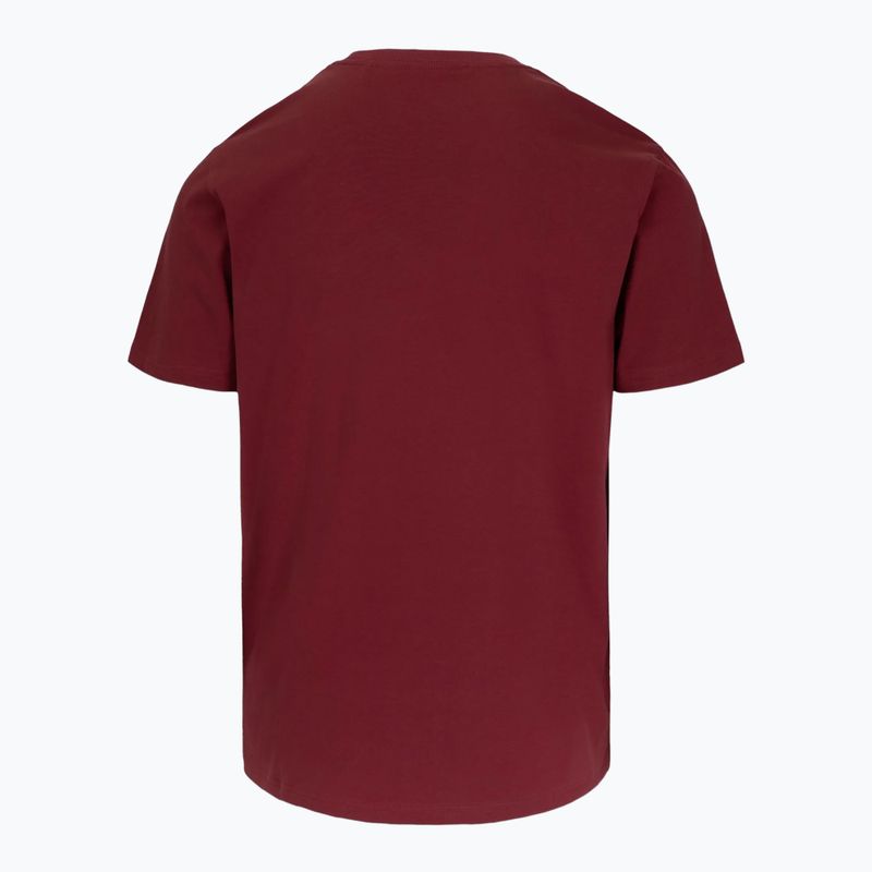 Koszulka męska Pitbull Logo Palms burgundy 5