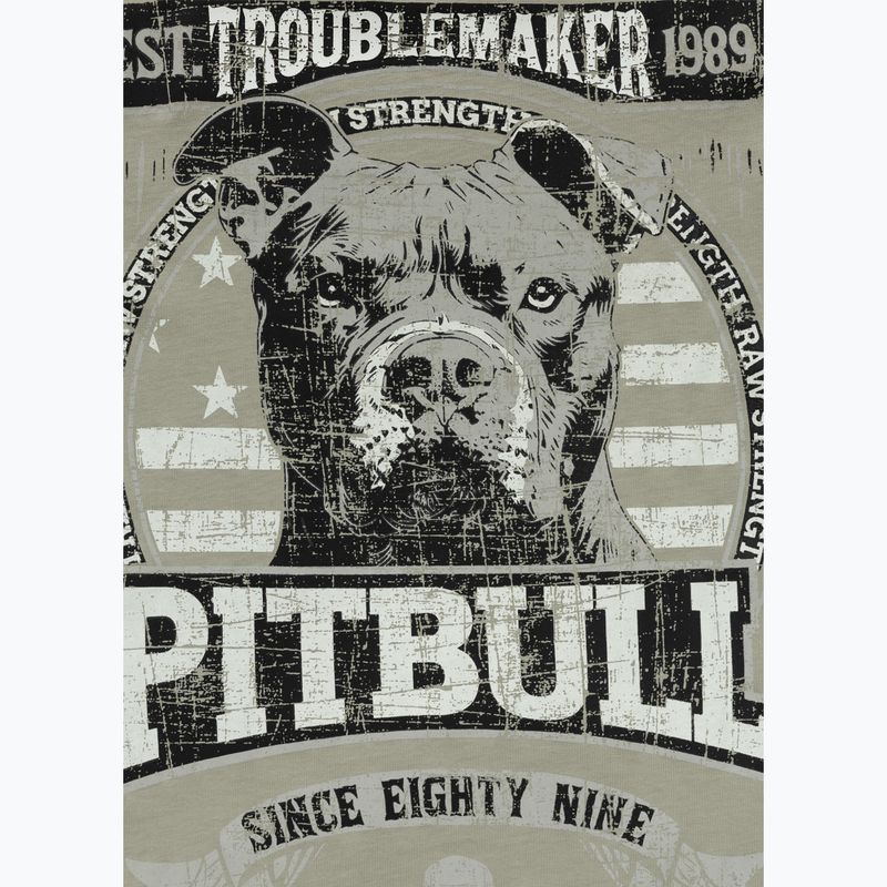 Koszulka męska Pitbull Troublemarker dusty salvia 5