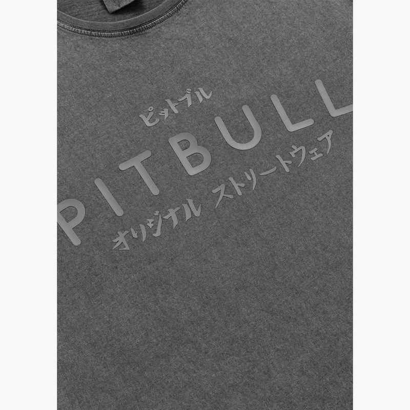 Koszulka męska Pitbull Mt. Fuji washed grey 4