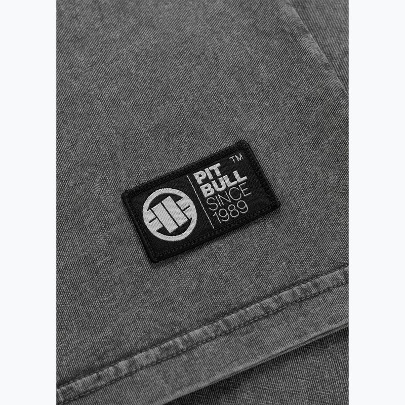 Koszulka męska Pitbull Mt. Fuji washed grey 8
