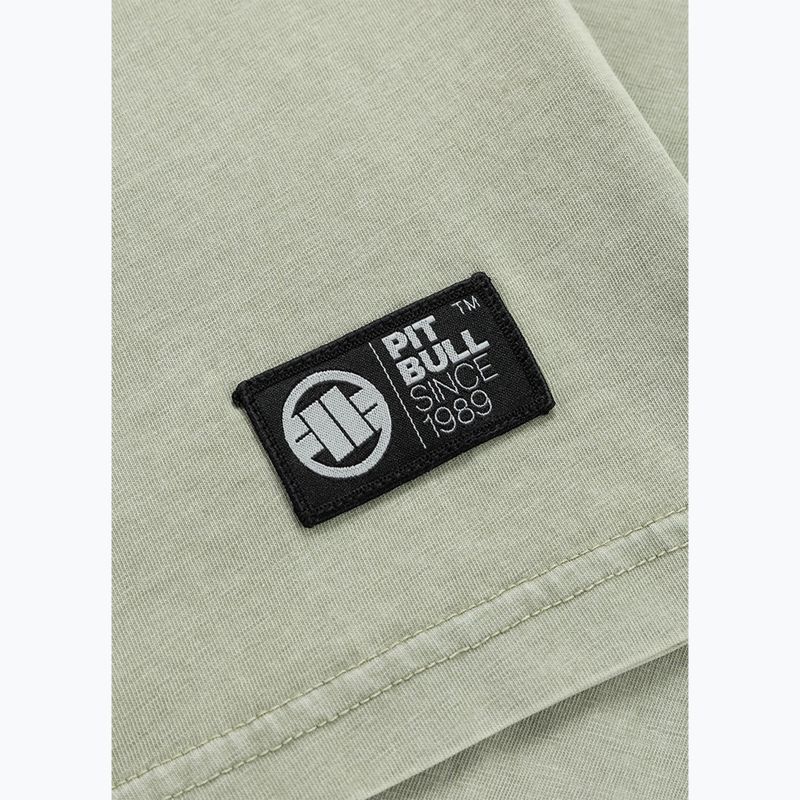 Koszulka męska Pitbull Planet Surf dusty salvia 10