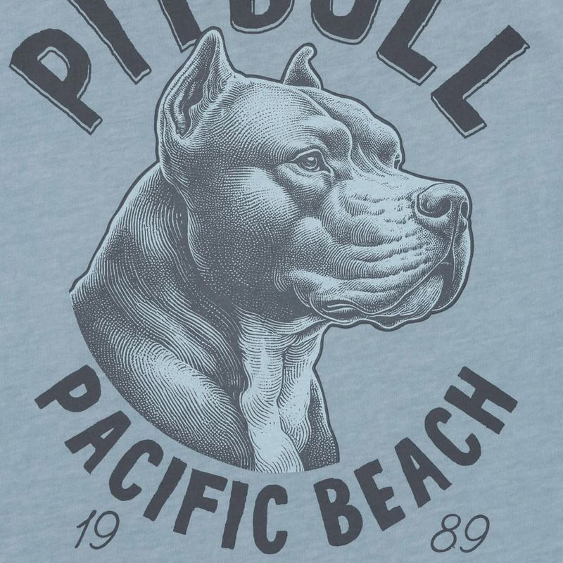 Koszulka męska Pitbull Pacyfic blue 5