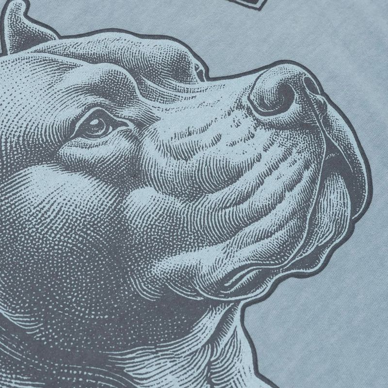 Koszulka męska Pitbull Pacyfic blue 6