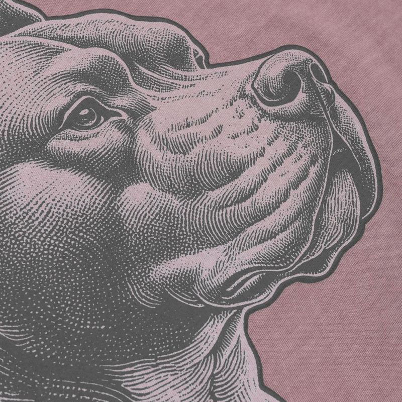 Koszulka męska Pitbull Pacyfic dusty burgundy 6