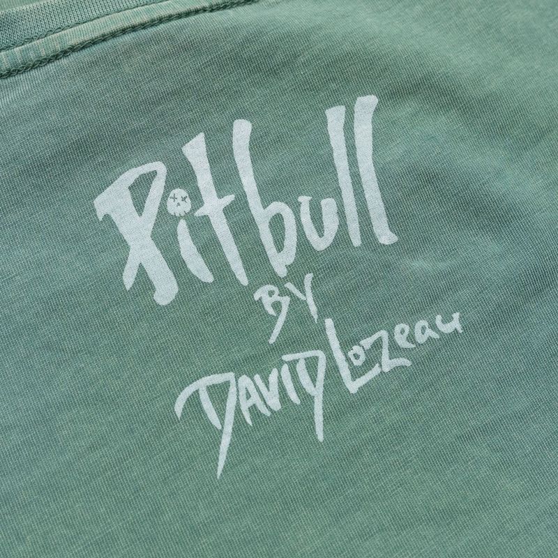 Koszulka damska Pitbull Cruisinandboozin mint 7