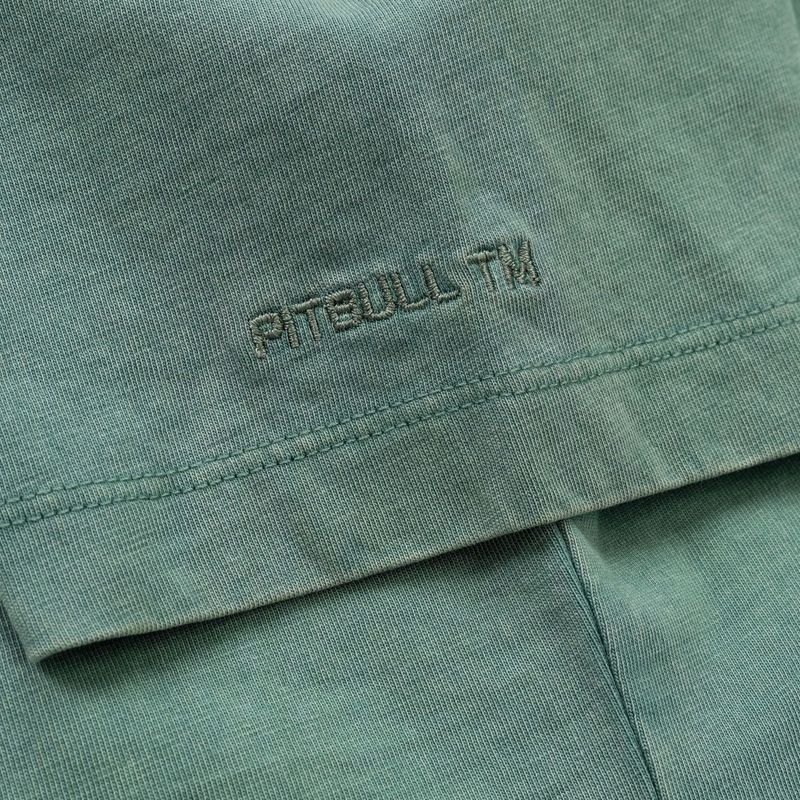 Koszulka damska Pitbull Cruisinandboozin mint 8