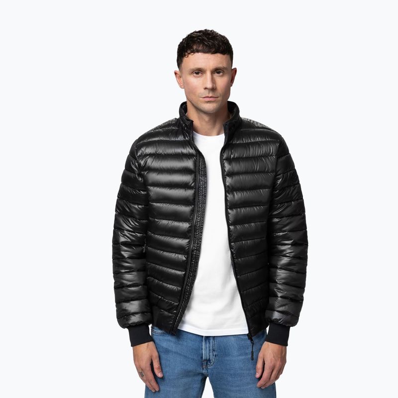 Kurtka męska Pitbull Harper Padded black 3
