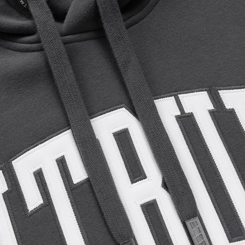 Bluza męska Pitbull Norton Hooded graphite 6