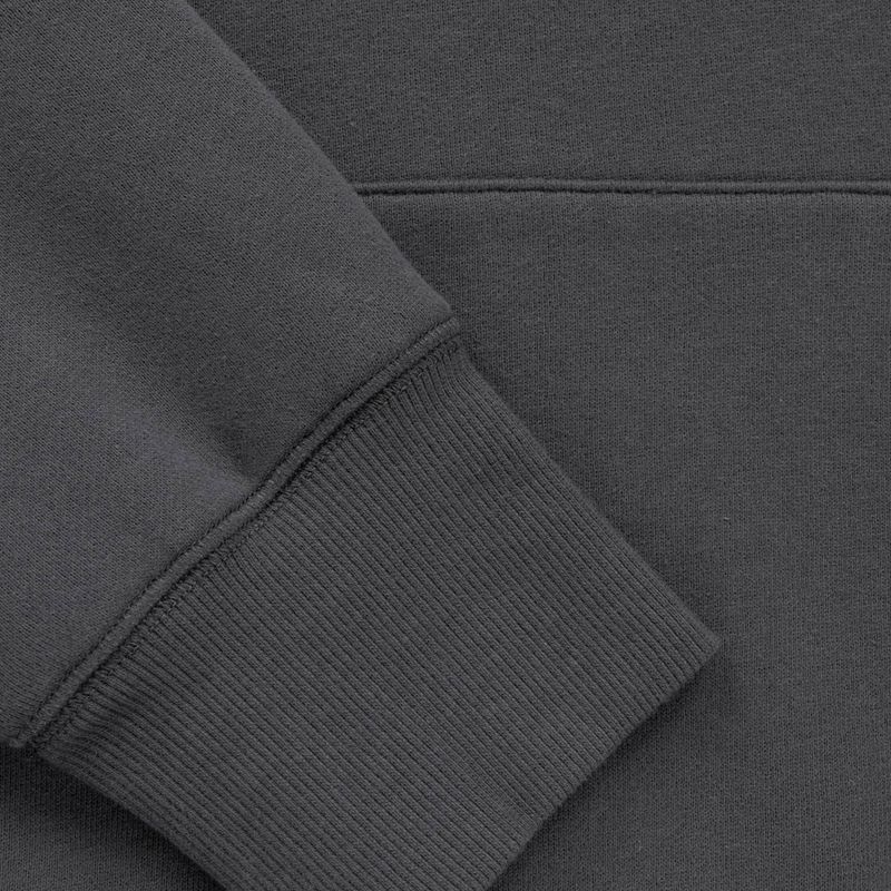 Bluza męska Pitbull Norton Hooded graphite 8