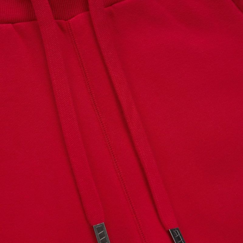 Spodnie męskie Pitbull Small Logo HD Track red 7