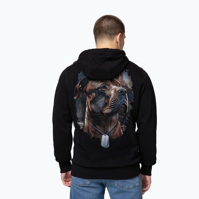 Bluza męska Pitbull Hero Hooded black 2