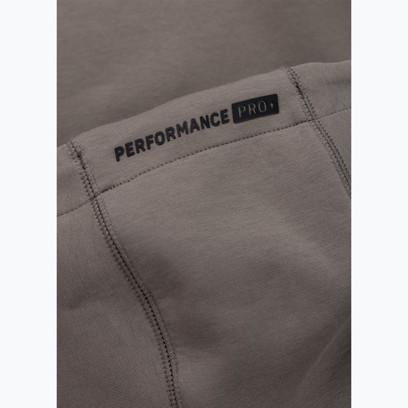 Bluza męska Pitbull Dogwood Hooded Sweatshirt taupe 9