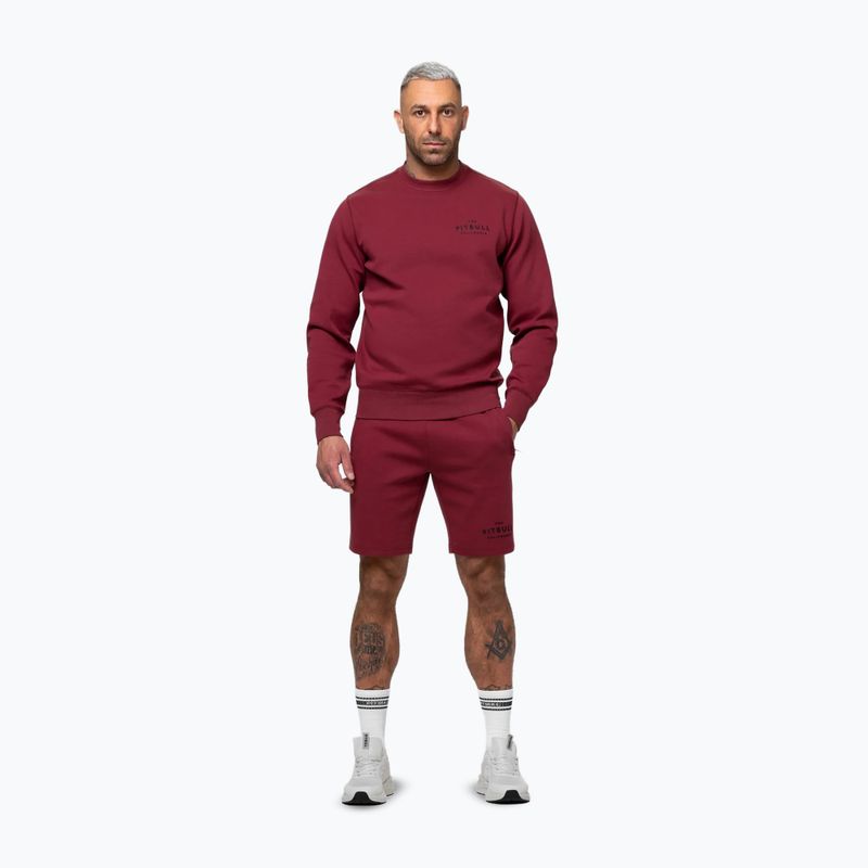 Bluza męska Pitbull Sampson Crewneck Sweatshirt burgundy 2