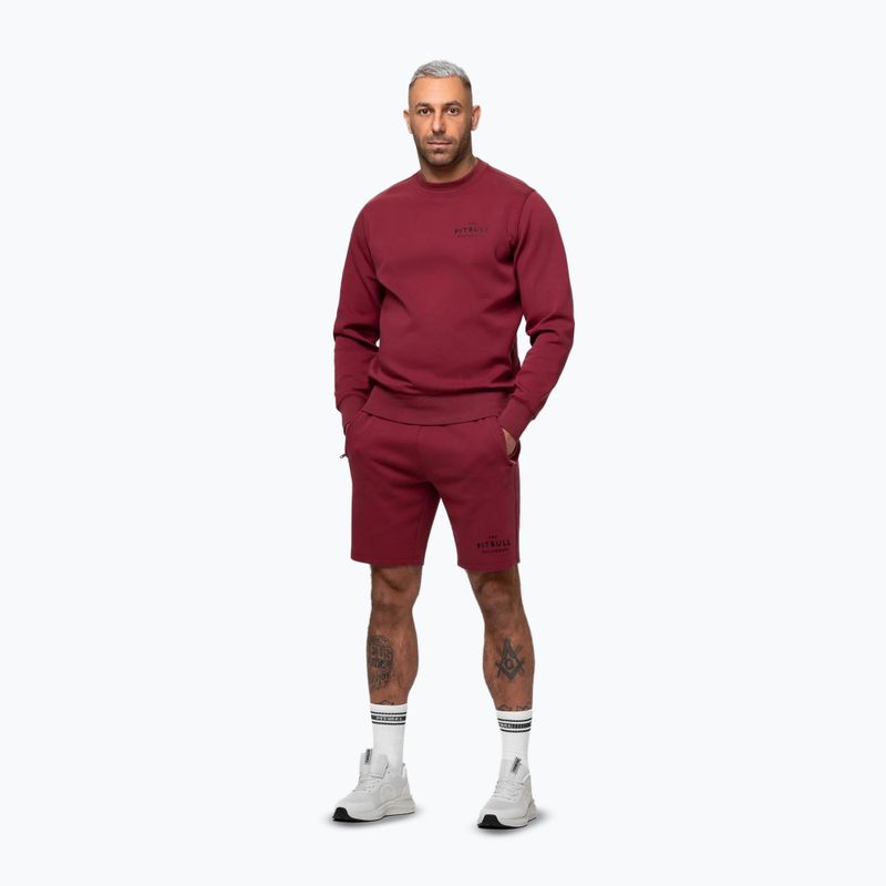 Bluza męska Pitbull Sampson Crewneck Sweatshirt burgundy 4